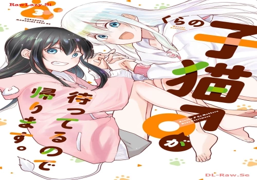 31361