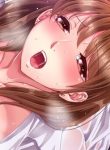 39406