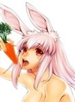 53196